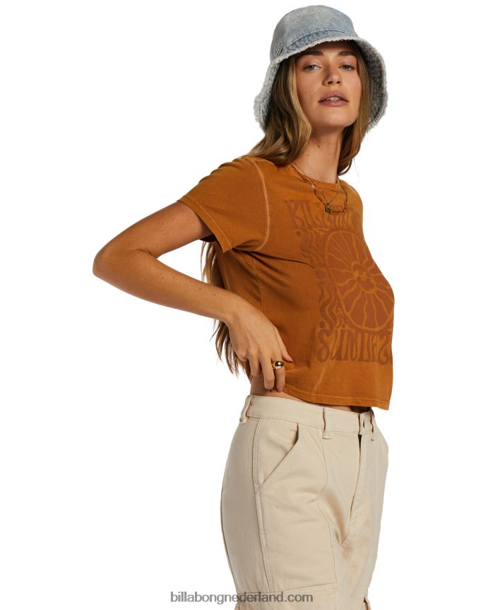 Billabong vrouwen wazige dagen t-shirtcider 4D20H2047